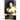 Shirley by Charlotte Bronte